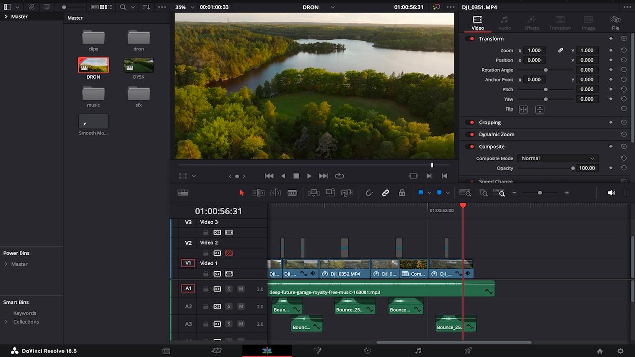 Davinci resolve timeline screenshot